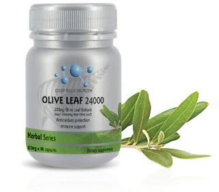 DBHHOLA Olive Leaf 24000