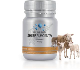 DBHASP30 Sheep Placenta x 30 