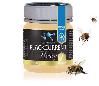 DBHBBC Blackcurrent Honey