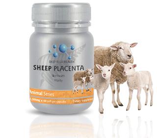DBHASP60M Sheep Placenta