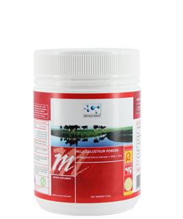 CDBHDMC175 Milk Colostrum Powder 175g 
