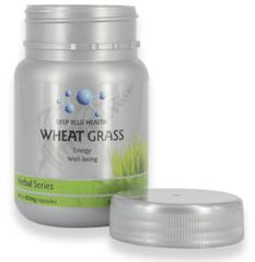DBHHWGT Wheat Grass